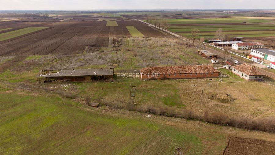 Fermă cu teren intravilan de 35000 mp în Mișca - 13