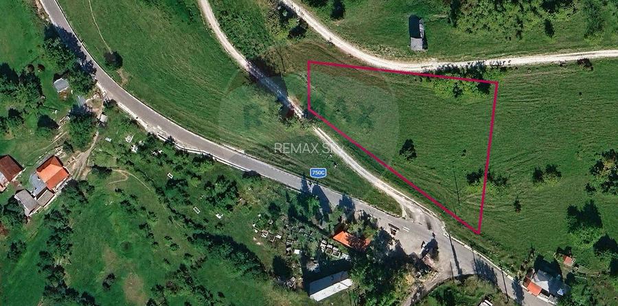Teren intravilan 2545mp Transapuseana | Valea Poienii (Râmeț) - 3