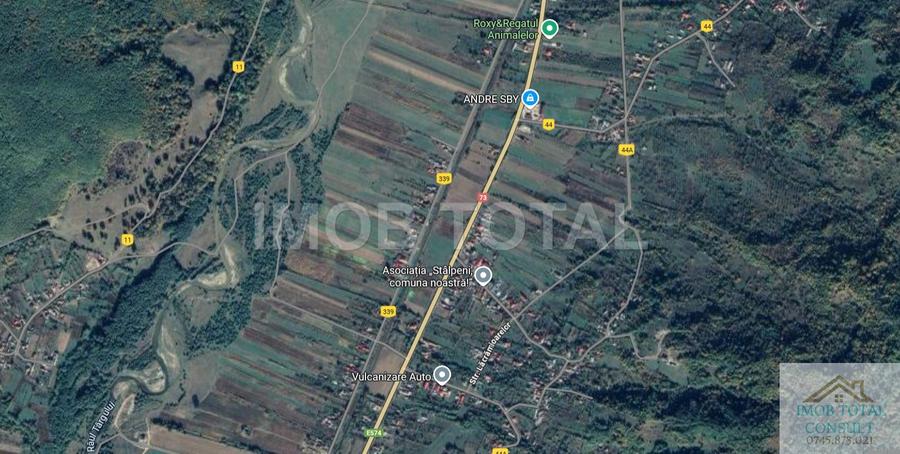Teren 5400 mp , Stalpeni , sat Radesti
