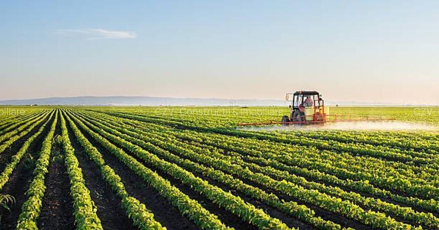 Ferma de Cultura Mare 1100 HA - 4
