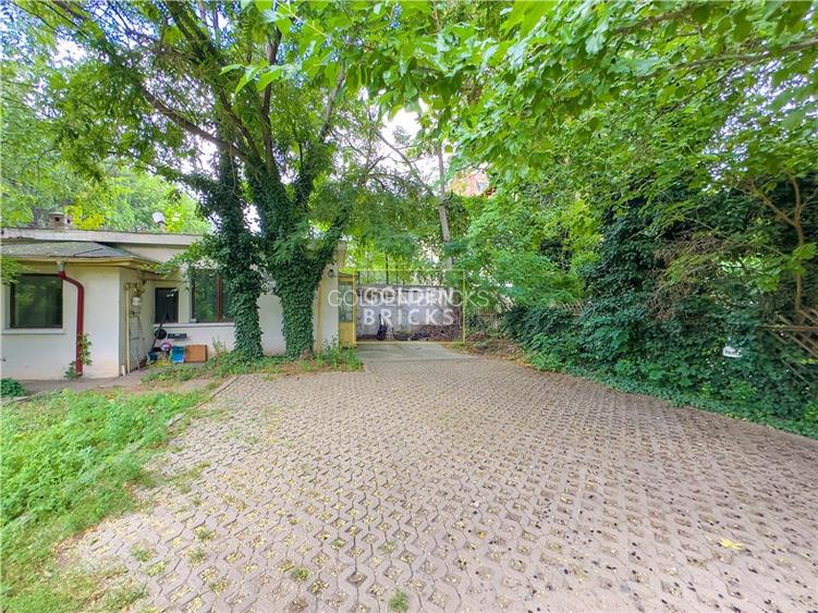 Piata Romana | ASE | Spatiu HORECA cu pozitie exceptională - 16