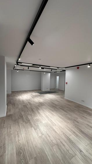 Pache Protopopescu Spatiu Birou etaj 5 - 135 MP