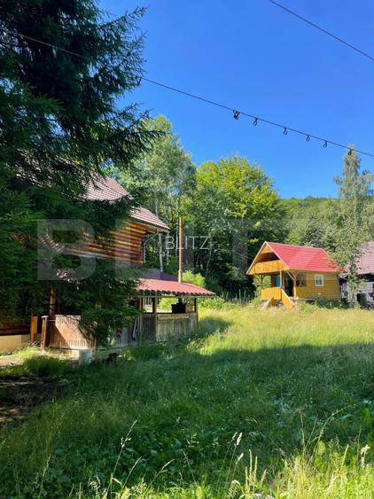 Cabana cu parau si brazi maturi, 1400mp, Valea Fericirii - 4