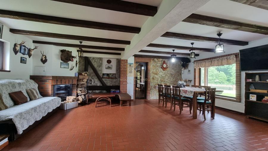 Complex turistic și proprietate deosebită de vânzare în Valea Dobârlău