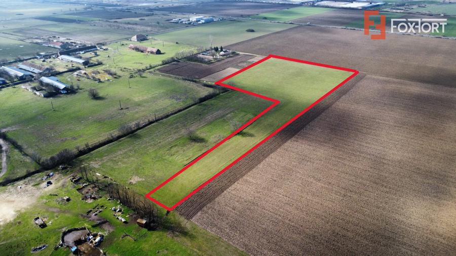 Teren intravilan 2 hectare in Padureni – oportunitate investitie sau dezvoltare