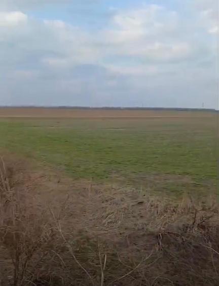 Vanzare teren extravilan cu deschidere la sos de centura Pantelimon