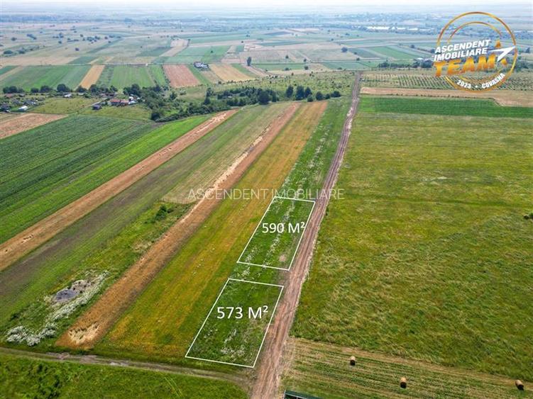 2 terenuri intravilane construibile aproape de Sfantu Gheorghe - 15