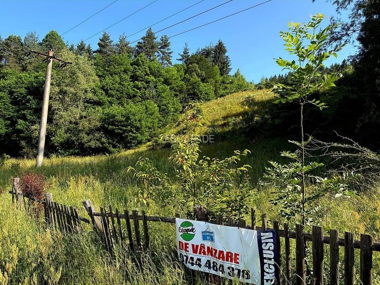 Teren extravilan de vânzare – Șinca Nouă, Brașov | 10.290 mp - 8