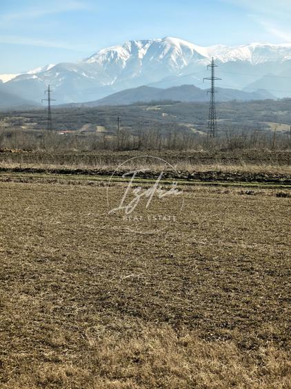 Teren de vanzare