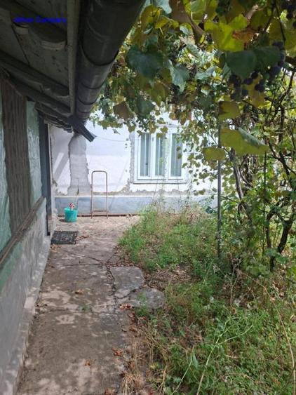 Casa 2 cam si dependinte in Jud Ialomita Grabovi