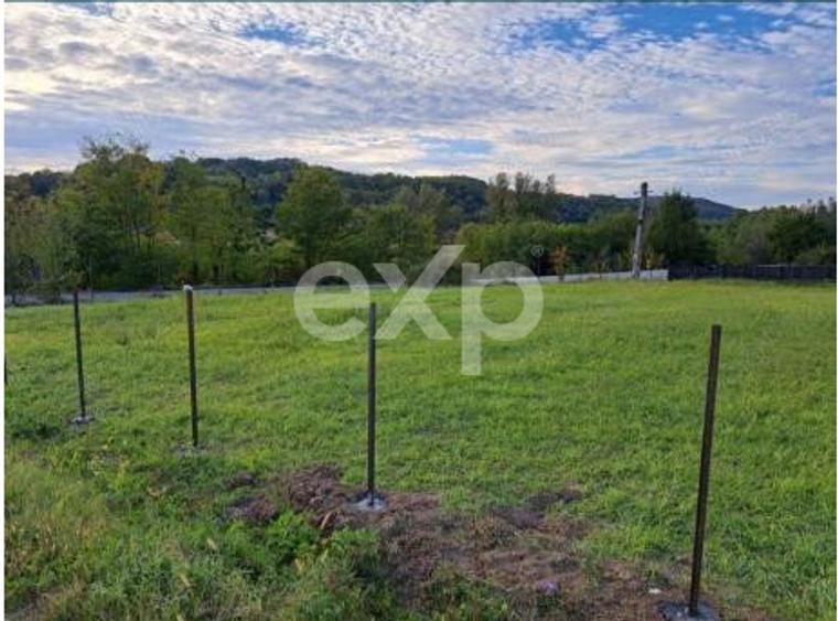Teren intravilan 1.000 mp | Băbana | Stradal | Asfalt | Utilități la limită