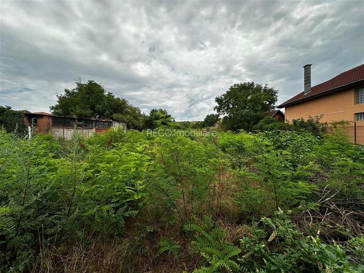 RECO Teren Intravilan(2030 mp) în Oradea - 2