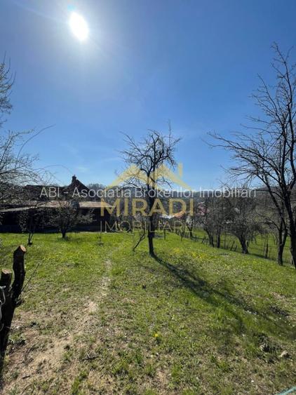 VANZARE CASA  TEREN - 7