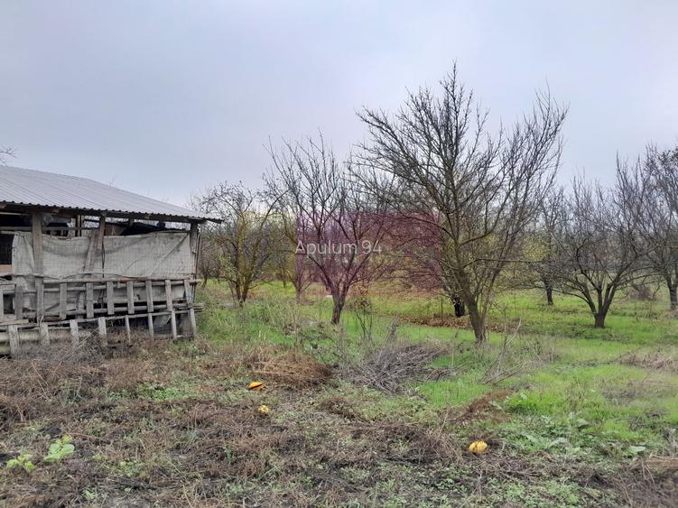De vanzare casa +teren 16k mp in BARCANESTI / IL - 55