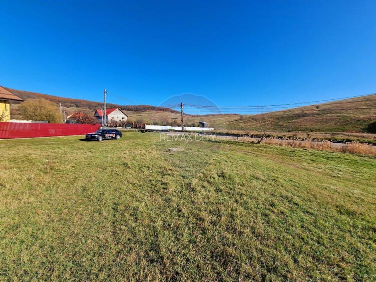 Casă / Vilă cu 8 camere de vânzare în zona Balaur - 58