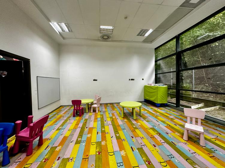 Spatiu comercial de inchiriat Pacurari