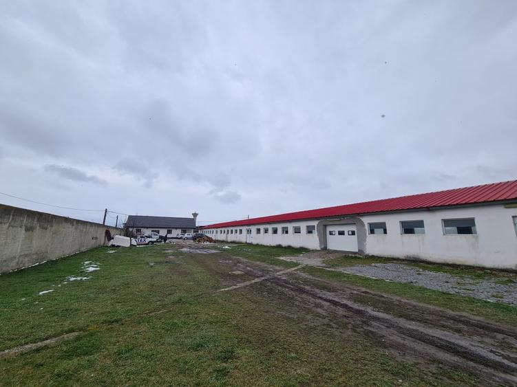 Oportunitate Unica: Teren Intravilan cu Hală de productie și Casă Modernă