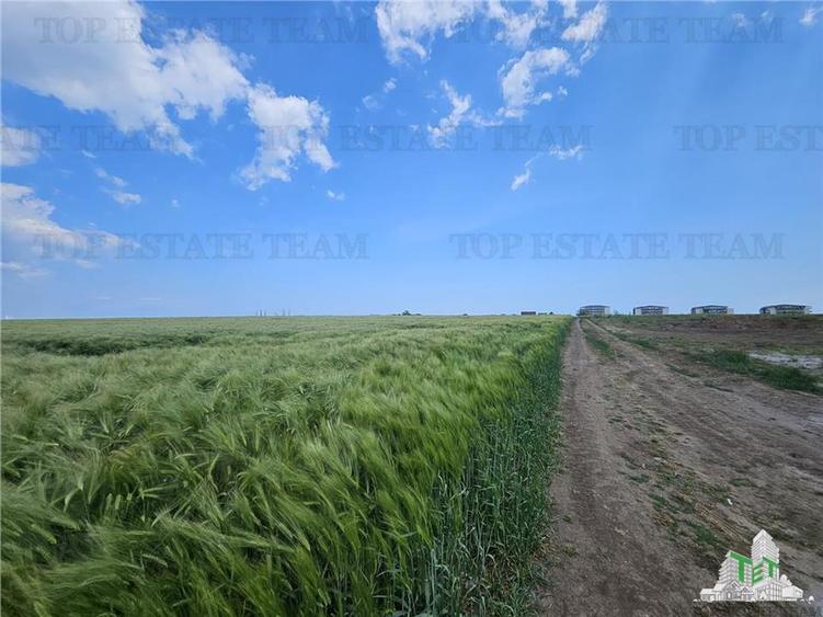 TEREN INTRAVILAN 50000 MP AGIGEA ZONA RO RO