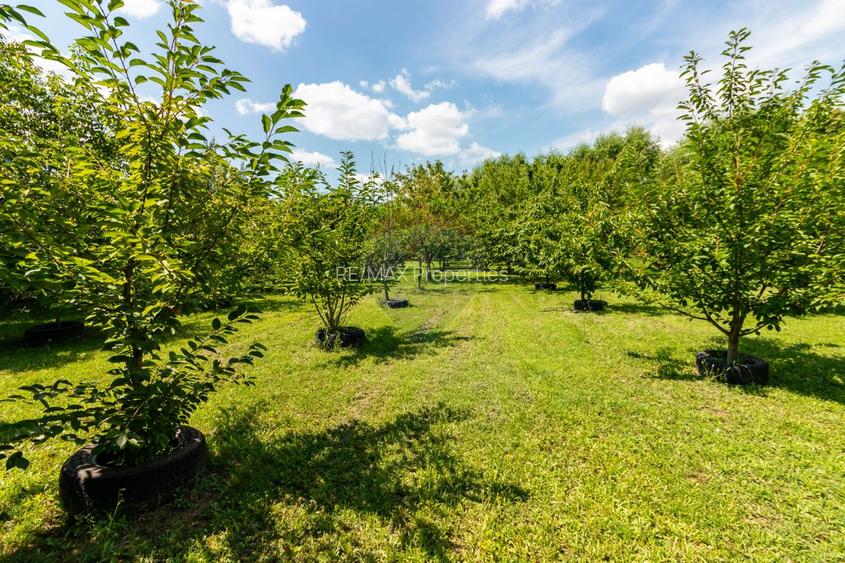 Casă de vânzare | PIPERA/ Teren 3300mp - 23