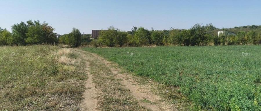 Vand 4 Loturi de teren langa A0 pod Domnesti