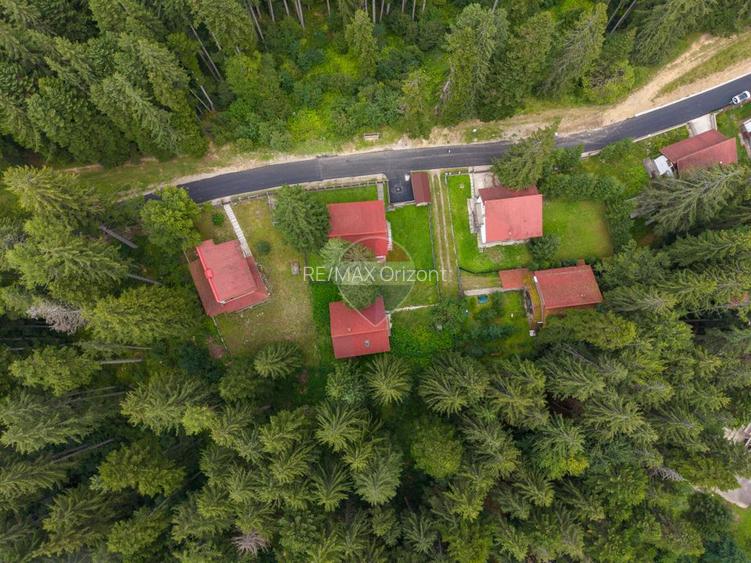 Casa 5 camere | viata la marginea padurii, intre brazi si liniste - 29