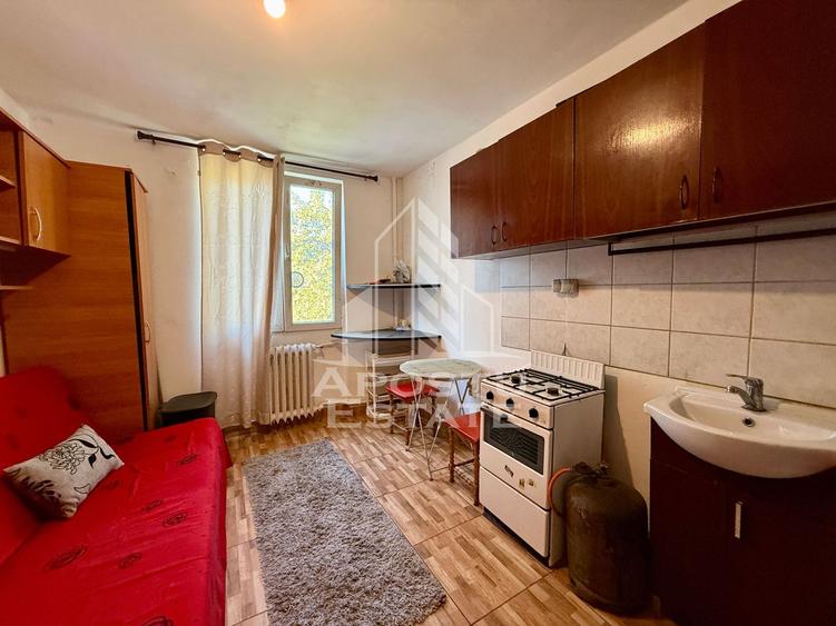Garsoniera cu baie la comun de vanzare, zona Take Ionescu Timisoara
