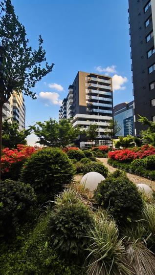 STUDIO DE DESIGN EXCLUSIV | Cortina North