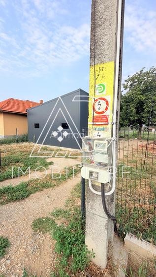 TEREN DE VÂNZARE – 13.630 MP | DĂNEȘTI | LÂNGĂ AERODROMUL BARZA - 5