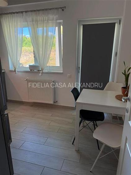 Apartament cu 3 camere decomandat Copou - 8