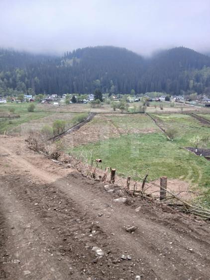 Teren intravilan de 7.500 mp în Vatra Dornei – oportunitate pentru investiție