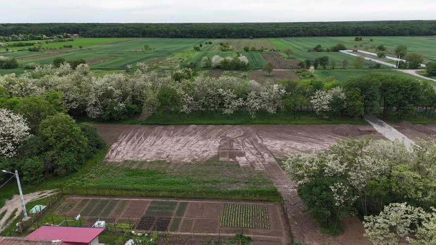 Vand Teren UNIIC Zona Nord Grădiștea 15744 Mp 4 Deschideri intravilan OCAZIE