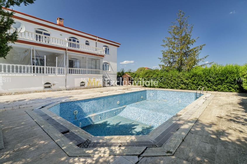 Domeniu privat 5.000 mp, cu reședință de 625 mp și piscină, Corbeanca - 37