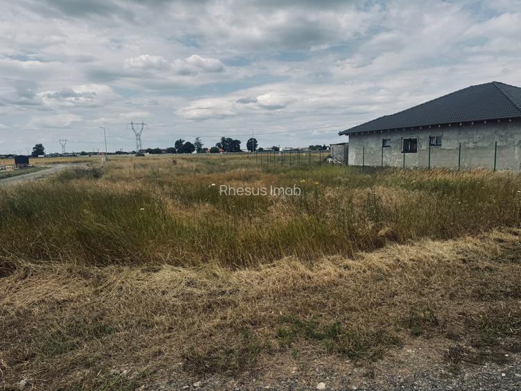 Vand parcele teren 740 mp Mosnita Noua! - 3