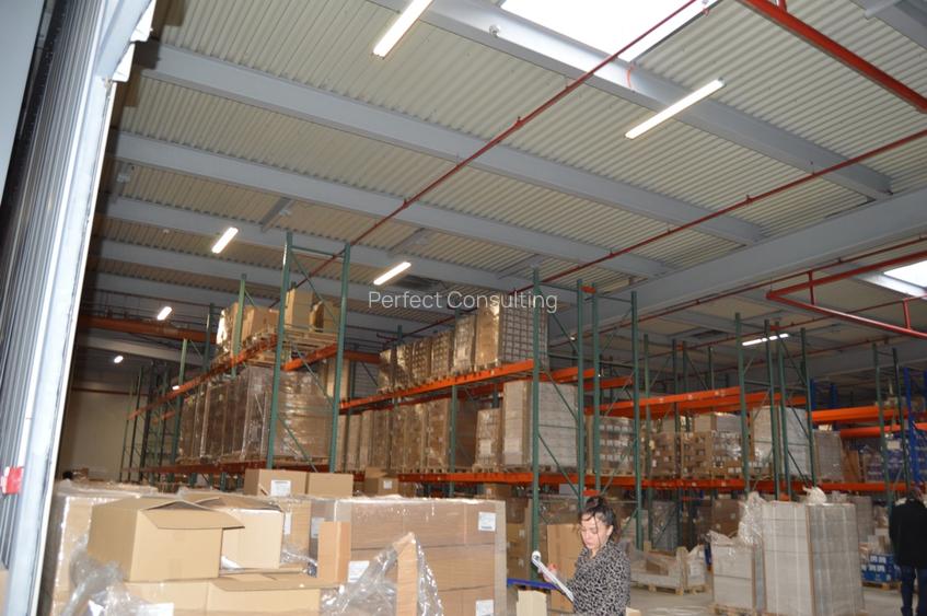 Militari-Carrefour hala 1200 mp in parc logistic - 4