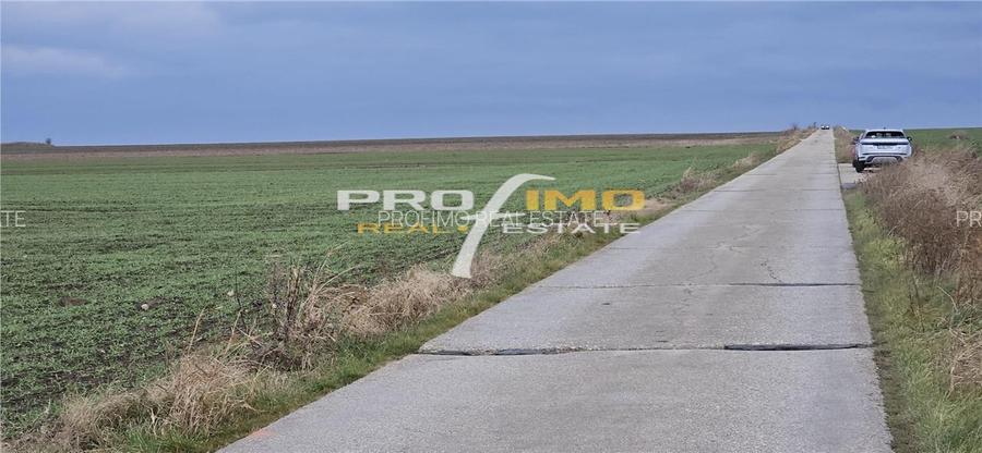 Plaja Corbu-Teren 4200mp. la numai 8 euro /mp. Soseaua asfaltata - 8