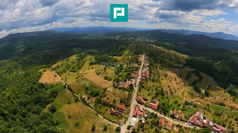 Casă de vacanță cu 2 corpuri si view în Dulcele - 30