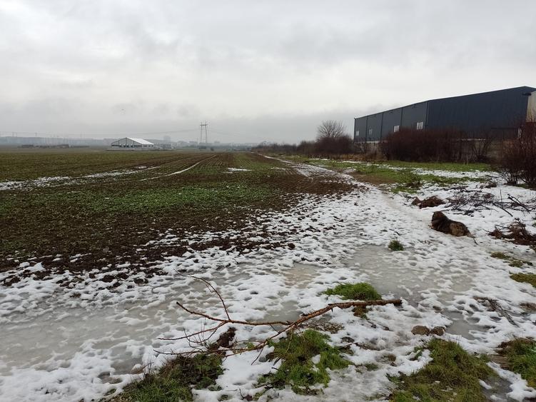 Orașul Popești-Leordeni,teren, zona industriala cu utilitati!