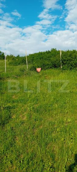 Teren Extravilan - 490 mp, zona Bucium