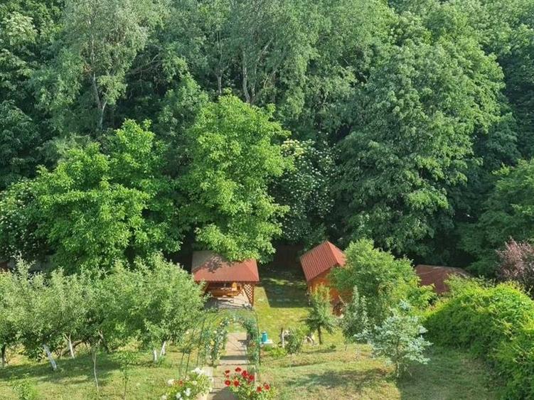 Casa Leamna de Jos 2000 m2 teren