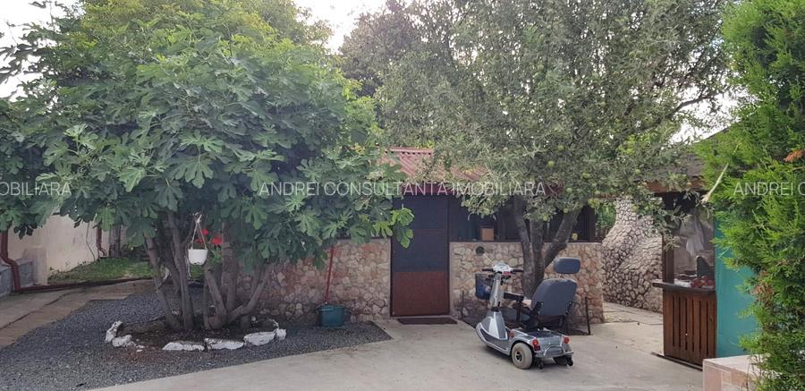 Vanzare 3 case moderne + 3 anexe si 2000 mp teren gradina, pomi in Tuzla la mare - 17