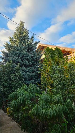 Casa 3 dormitoare Sendreni