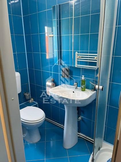 Apartament cu 1 camera de inchiriat, zona Aradului, Timisoara