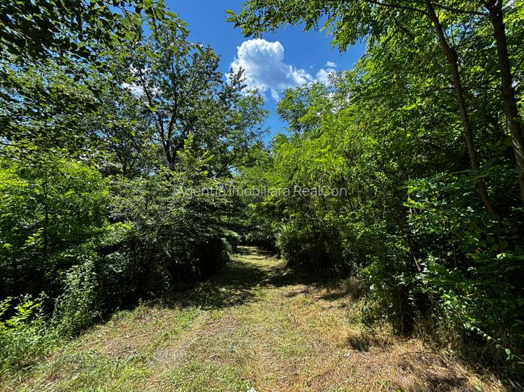 Teren Padure 6857 mp. intravilan Com Bujoreni-Valcea - 5