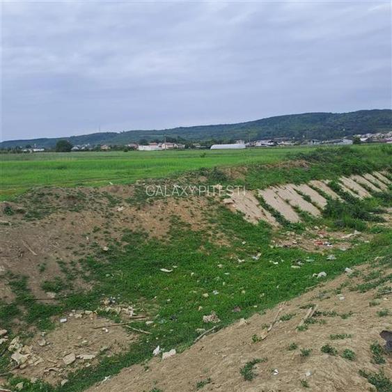 De vanzare teren Stefanesti zona Sticlelor, intravilan, 4200 mp - 2