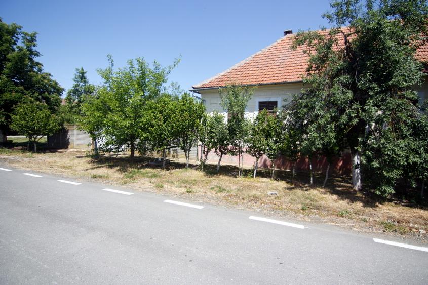 Casa tip conac, doua corpuri, cu 2.471 mp de gradina si doua fronturi