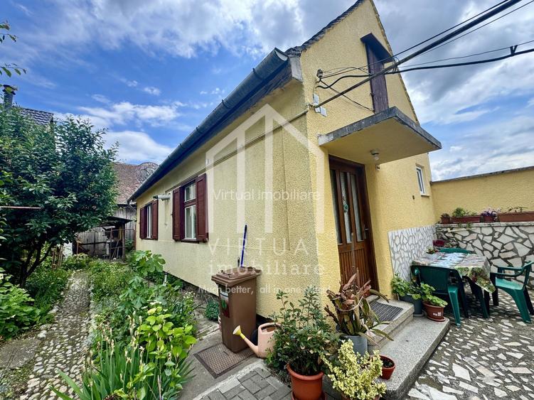 Casa individuala, 2 camere, sura 100mp, 290mp teren, Turnisor - 5