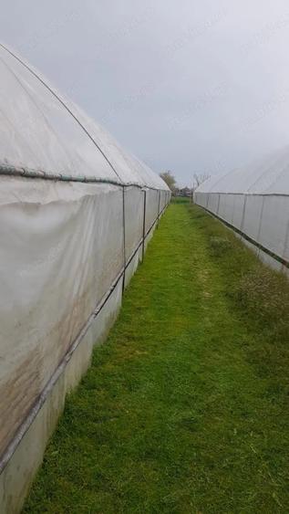 🌱 5.000 MP cu 4 SOLARII | EXPLOATAȚIE AGRICOLĂ | CĂLINEȘTI, ARGEȘ