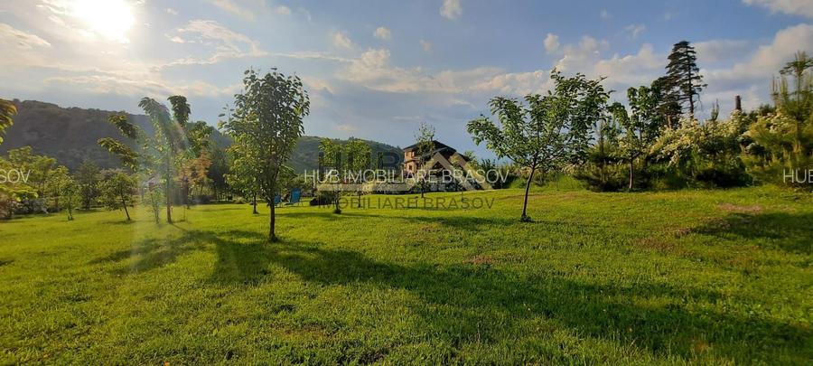 Teren cu PUZ - Tabara de Vacanta + Constructie Tiny Hous |  10 Cabane A-Frame - 3