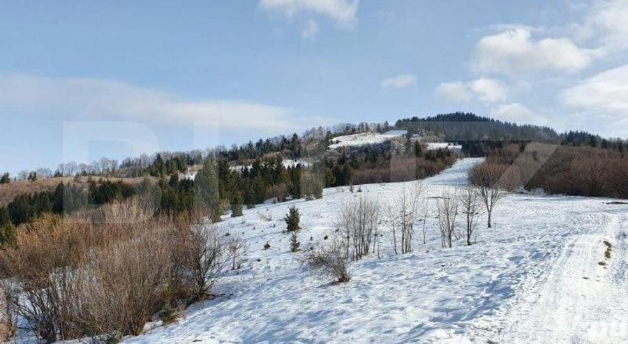 Teren de vanzare, destinatie constructii turistice, Bunloc, 7.300 mp