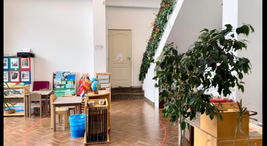 Vilă individuală 17 camere, 850 mp teren | Grădiniță / clinică | Iancu Nicolae